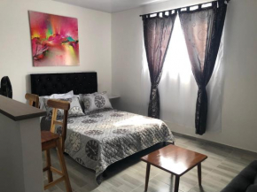 APARTAESTUDIO Parque Olaya Pereira